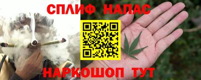 Альфа ПВП Кингисепп