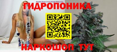 Альфа ПВП Кингисепп