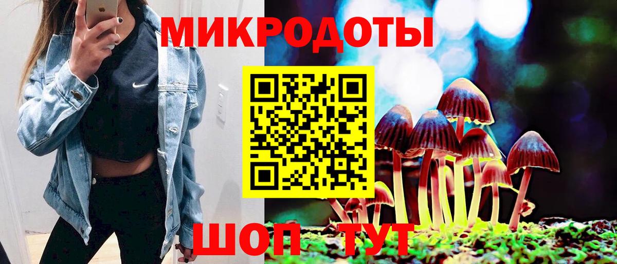 Псилоцибиновые грибы GOLDEN TEACHER Кудымкар