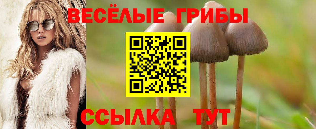 Псилоцибиновые грибы Psilocybe  наркота  Кудымкар  Вход с VPN 